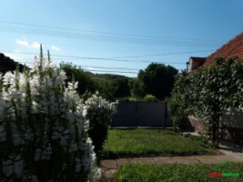 casa-de-vanzare-cu-3200-mp-teren-sorostin-10